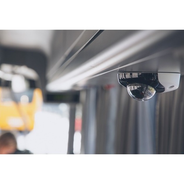 AXIS P3935-LR HD Network Camera - Dome - TAA Compliant - 49.21 ft - H.264 (MPEG-4 Part 10/AVC), H.265 (MPEG-H Part 2/HEVC), MJPEG, H.264, H.265 - 1920 x 1080 Fixed Lens - 45 fps - RGB CMOS - Pendant Mount, Wall Mount - Vandal Resistant