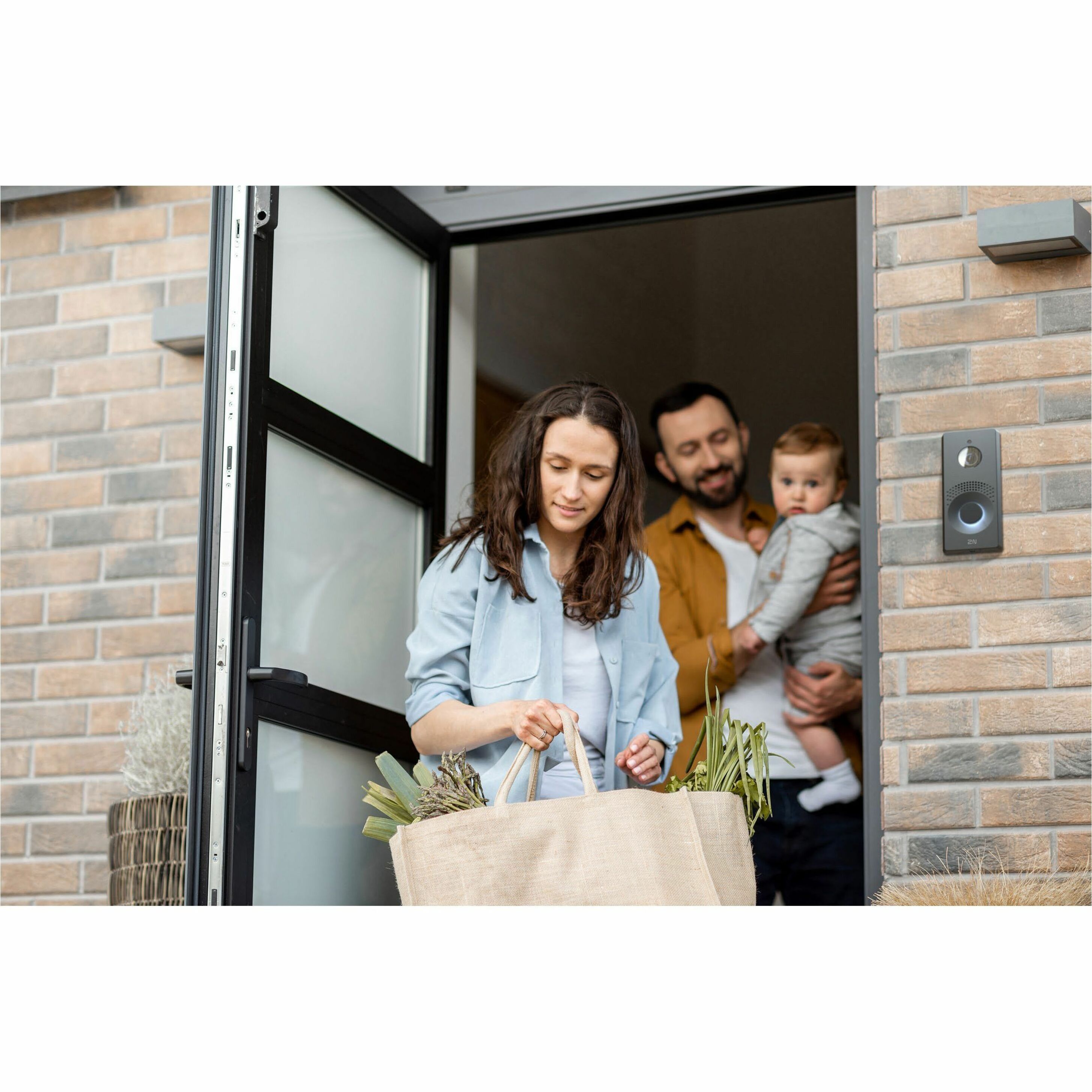 2N IP One Video Door Phone Sub Station - CMOS - 156° Horizontal - 116° Vertical0.3 lux - Full-duplexAnodized Aluminum - Home, Door Entry, Video Intercom, Office Building