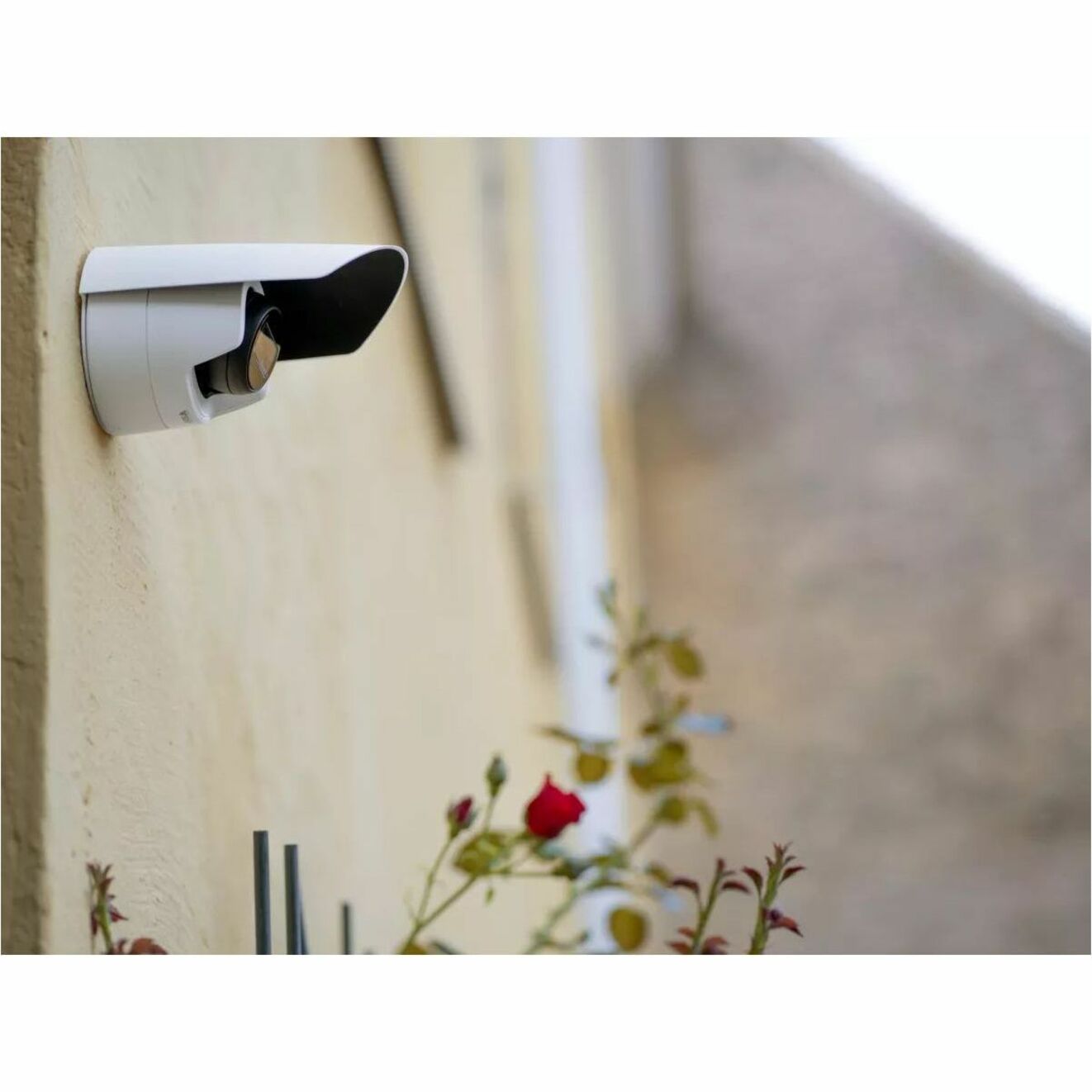 AXIS M3125-LVE 2 Megapixel Indoor/Outdoor Full HD Network Camera - Color - Dome - White - TAA Compliant - 65.62 ft Infrared Night Vision - H.264, H.265, Motion JPEG, Zipstream, H.264H (MPEG-4 Part 10/AVC), H.264M (MPEG-4 Part 10/AVC), H.265 (MPEG-H Part 2/HEVC) Main Profile - 1920 x 1080 - 2.90 mm Fixed Lens - 60 fps - RGB CMOS - Fast Ethernet - Wall Mount, Ceiling Mount - IK08 - IP66 - Weather Proof - Audio Support
